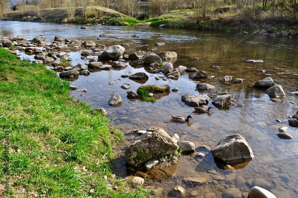 Fluss Sihl im Sihlwald in Langnau am Albis, Kanton Zürich, Schweiz Fluss Sihl im Sihlwald in Langnau am Albis, Kanton Zürich, Schweiz