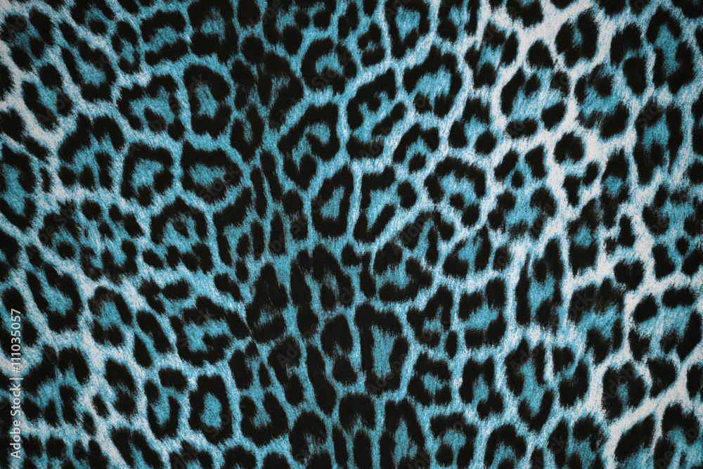 Beautiful blue leopard pattern fur background (animal print