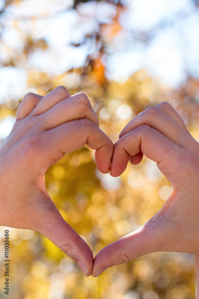 hands heart on nature background. heart shape on valentines day