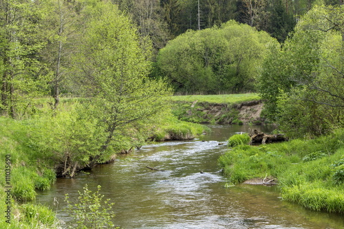 The forest river, current of water in the forest river