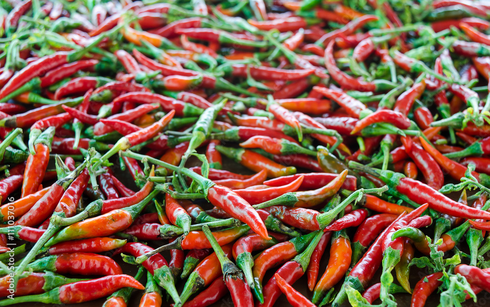 Red hot chili background