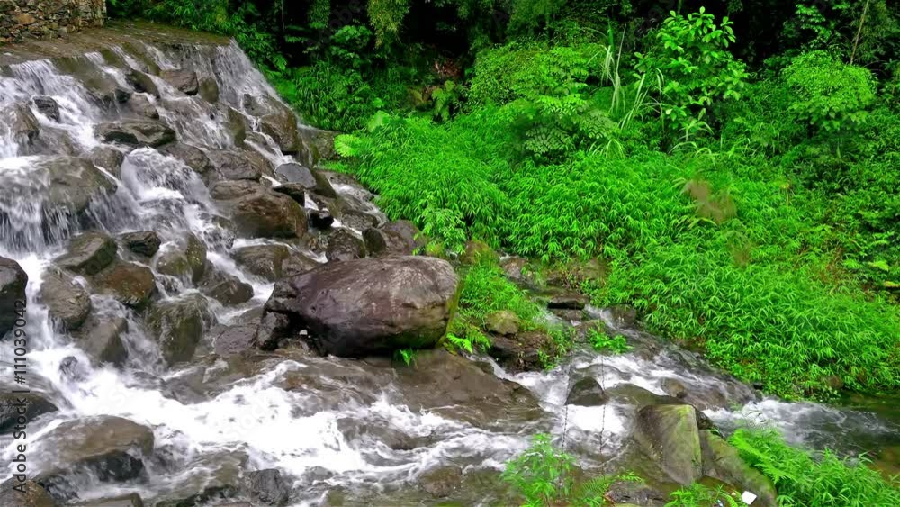 forest stream running over mossy rocks 4K forest stream running over mossy rocks 4K