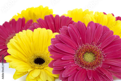 cropped image of pink and yellow flowers.