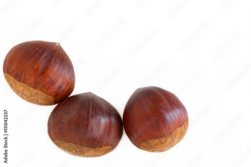 Chestnuts on White Background Chestnuts on White Background