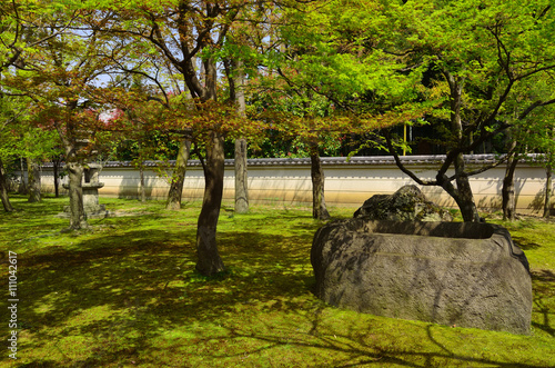 Japanese garden in spring, Shoukokuji temple Kyoto Japan. photo