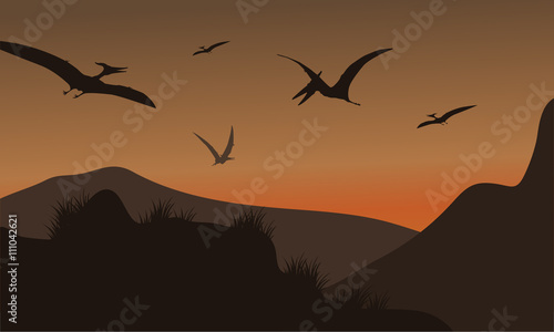 Silhouette of pterodactyl flying at afternoon