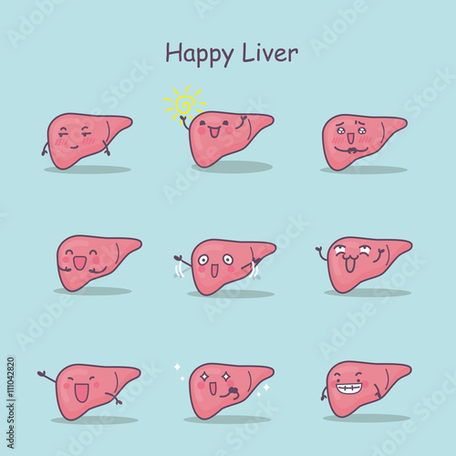 Happy cartoon liver set