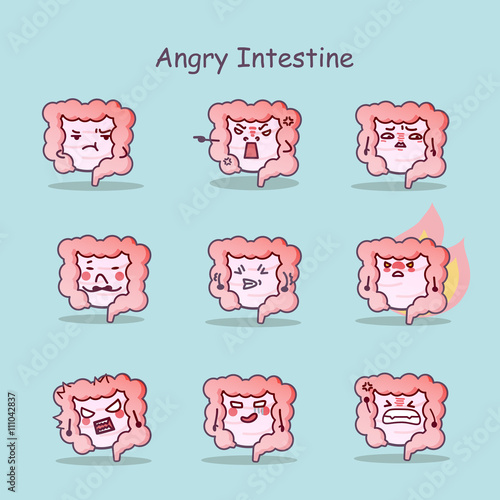 Angry cartoon Intestine set