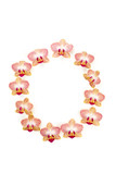 letter o in orchids
