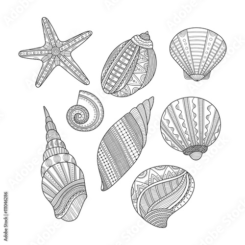 Black and white sea shells for coloring book. Vector 