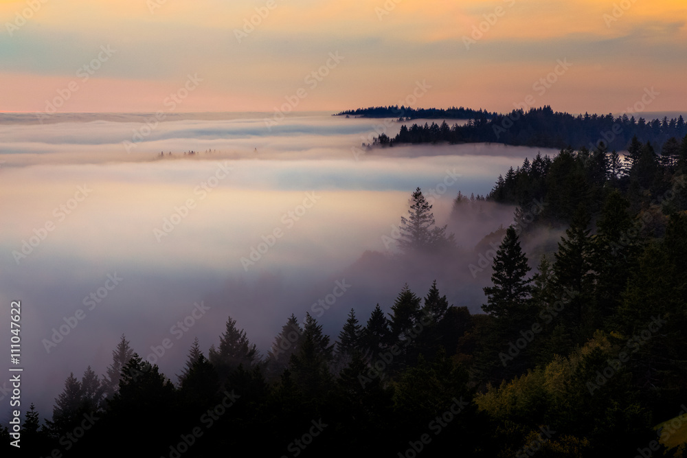 Fog blanketing the valley at sunset on Mount Tamalpais