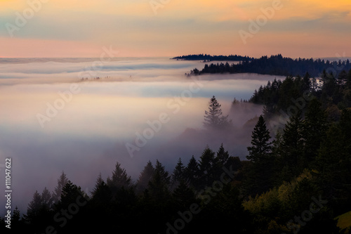 Photography Fog blanketing the valley at sunset on Mount Tamalpais