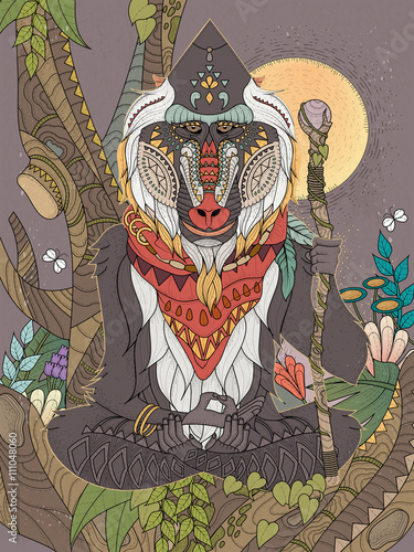wisdom elder baboon