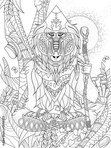 wisdom elder baboon