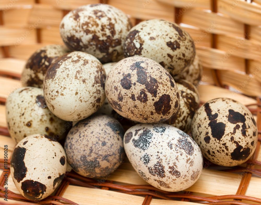 quail eggs on a wooden background