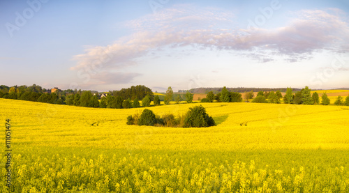 Wiosenne pola w niemczech
