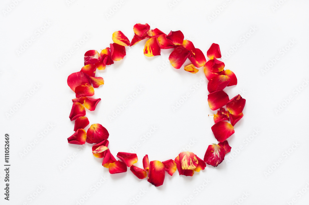 Obraz premium Roses mockup for presentations