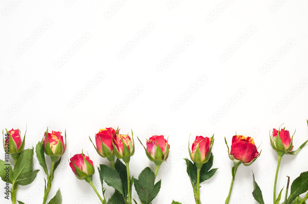 Roses mockup for presentations Roses mockup for presentations
