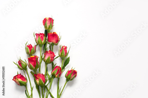 Roses mockup for presentations