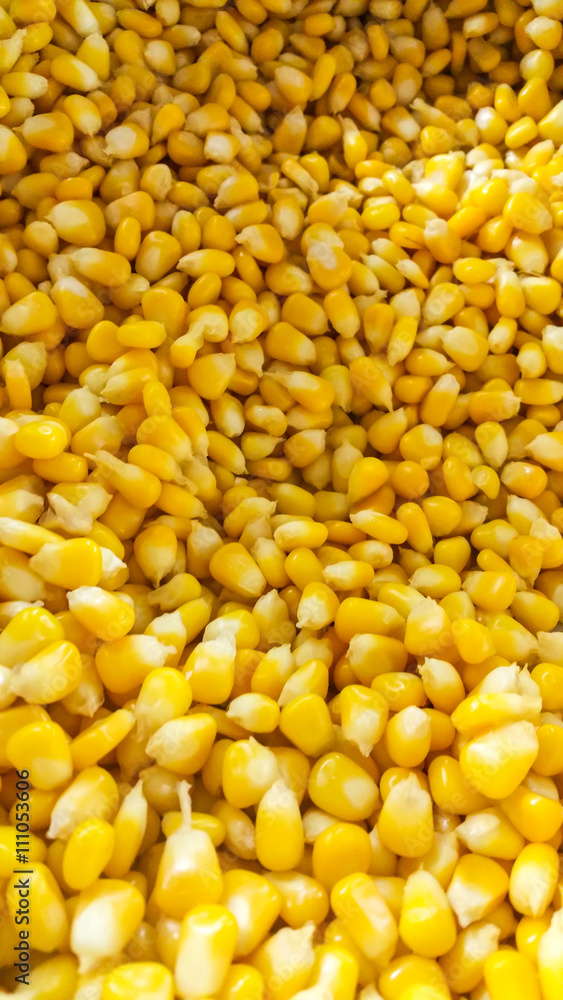soft focus background Corn Pellets In Oven soft focus background Corn Pellets In Oven