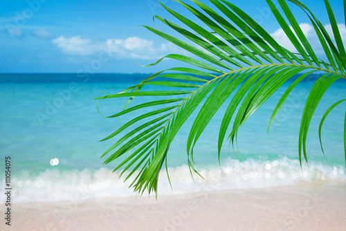 Fototapeta Naklejka Na Ścianę i Meble -  Palm leaf, blue sea and tropical white sand beach ander the sun