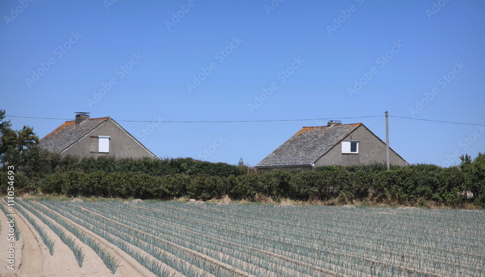 Parcelle agricole dans le Val de Saire près de Crabec.