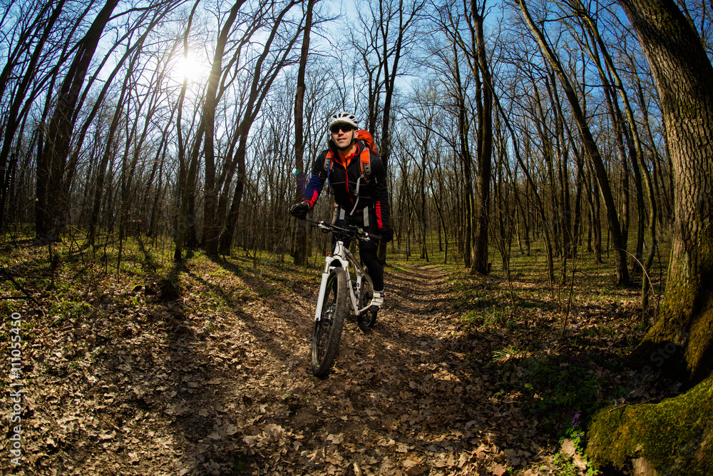 Naklejka premium Rider in action at Freestyle Mountain Bike Session