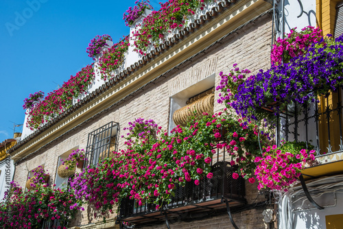 Beautiful museum wall with fresh flowers in Cordoba village - Andalusia 