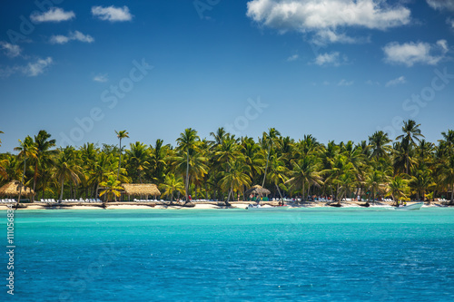 Palm trees on the tropical beach