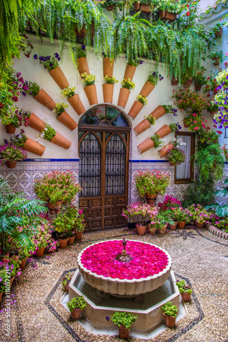 Beautiful Patio garden with ornamental flowers in Andalusia - Cordoba, Spain © cristianbalate