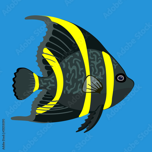 Tropical ocean angel fish, vector illustration