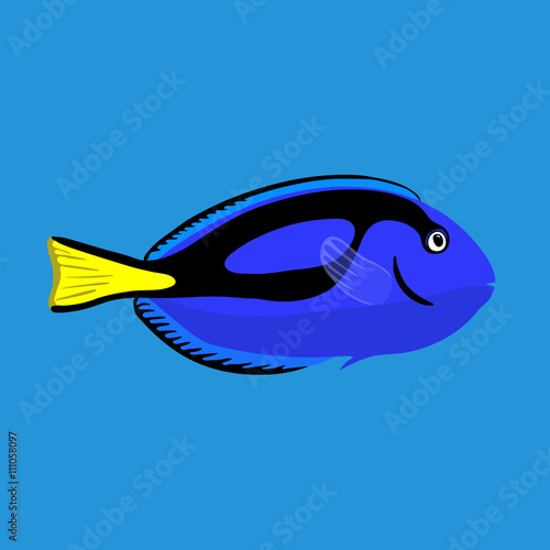 Tropical ocean surgeon fish, vector illustration