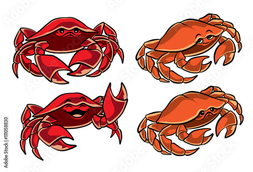 Illustration of two cute red and orange crabs