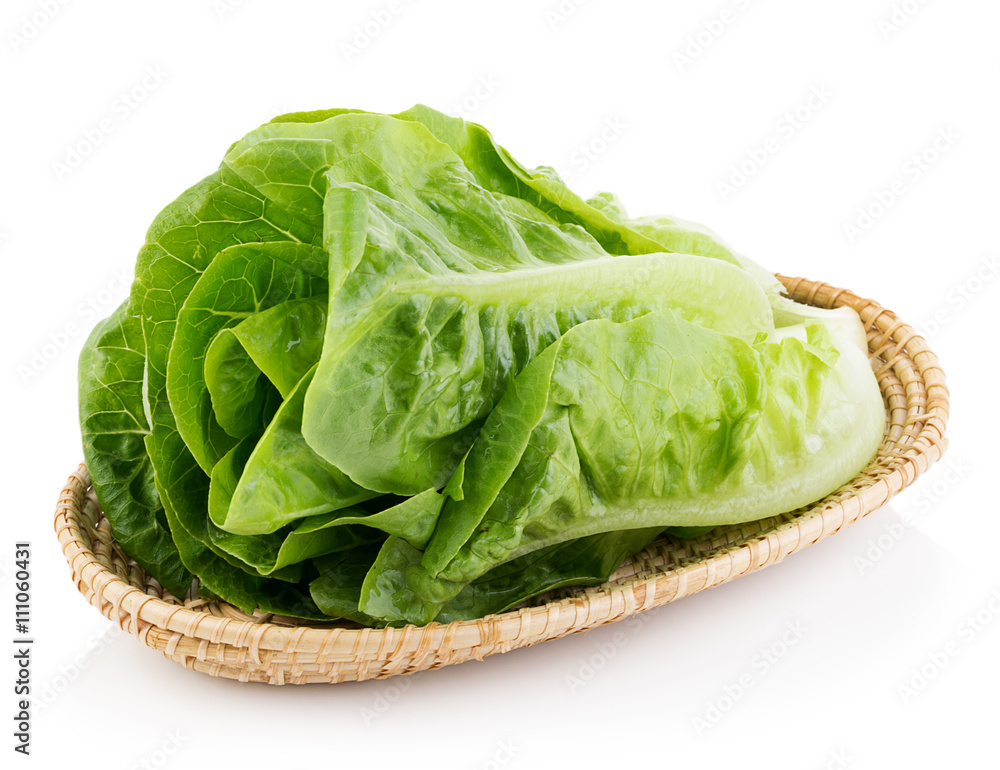 fresh cos (lettuce) on white background fresh cos (lettuce) on white background