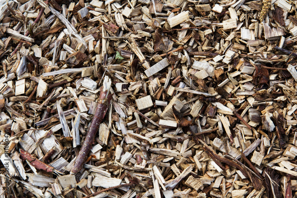 Close up of wood chippings. Good for a background texture.