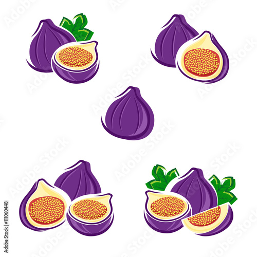 Figs set. Vector