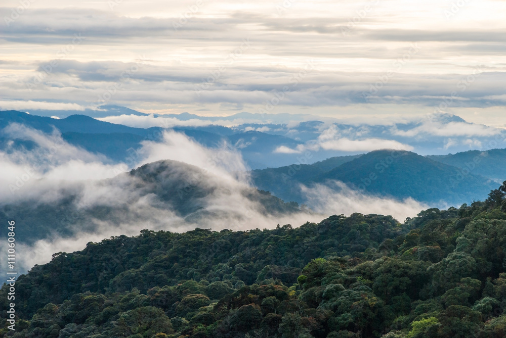 Sunrise over jungle in cameron highlands, Malaysia Sunrise over jungle in cameron highlands, Malaysia