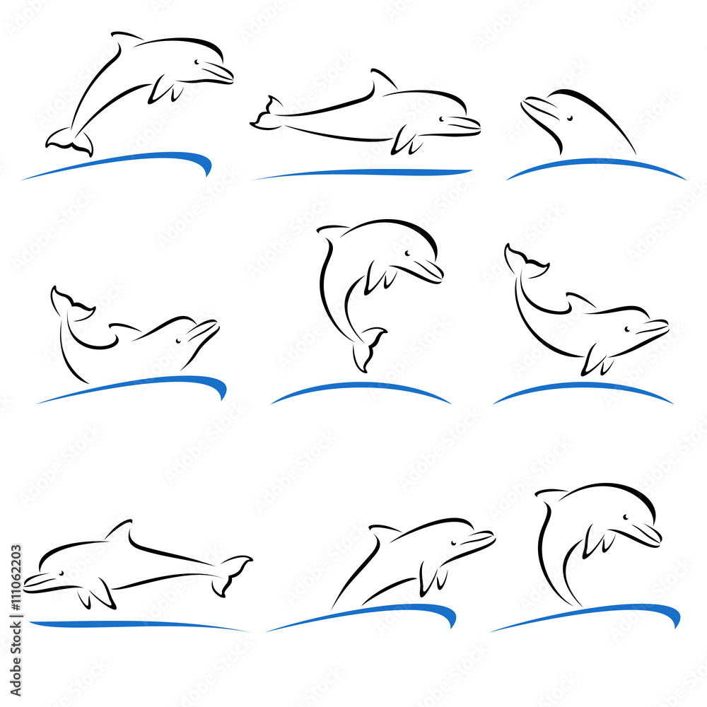 Obraz premium Dolphins set. Vector