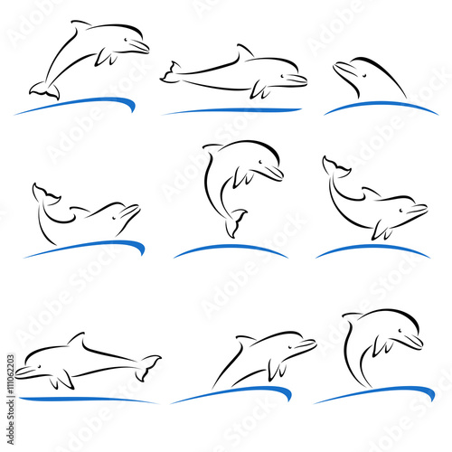 Dolphins set. Vector