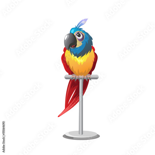 Tropical colorful parrot sitting on perch 