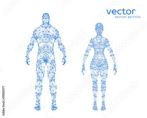 Vector illustration of male and female body