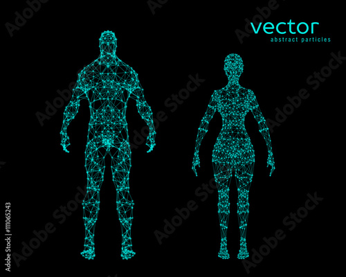 Vector illustration of male and female body