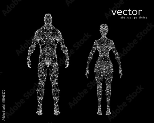 Vector illustration of male and female body