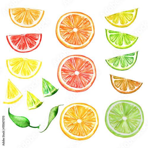 Набор - Цитрусовые фрукты, ломтики лимона, апельсина, лайма, грейпфрута, мандарина, акварель. Ломтики апельсина, лимона, лайма, грейпфрута акварель. На белом фоне.