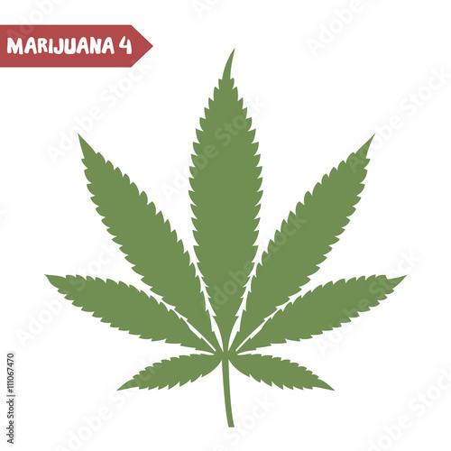 Marijuana leaf isolated
