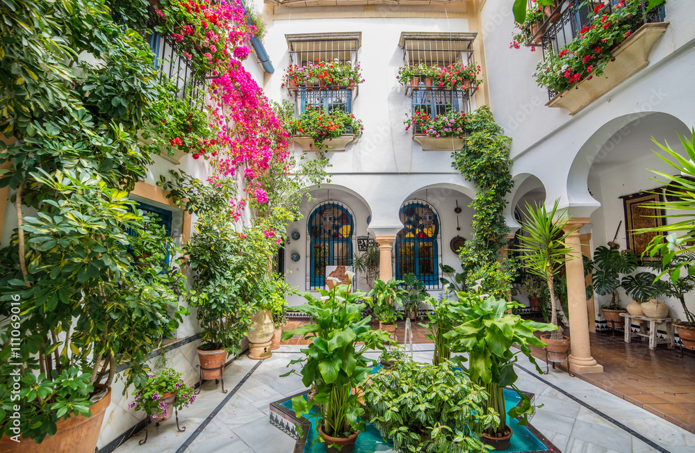 Wide view of a beautiful patio garden decorated with flowers, in Cordoba - Spain
