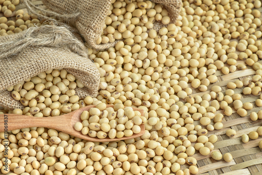 Fototapeta premium Soy bean