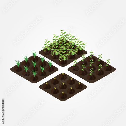 isometric farm elements