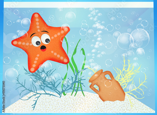 starfish in the aquarium