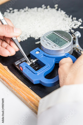 Scientists, research of rice,shallow Depth of Field,Focus on tool. photo